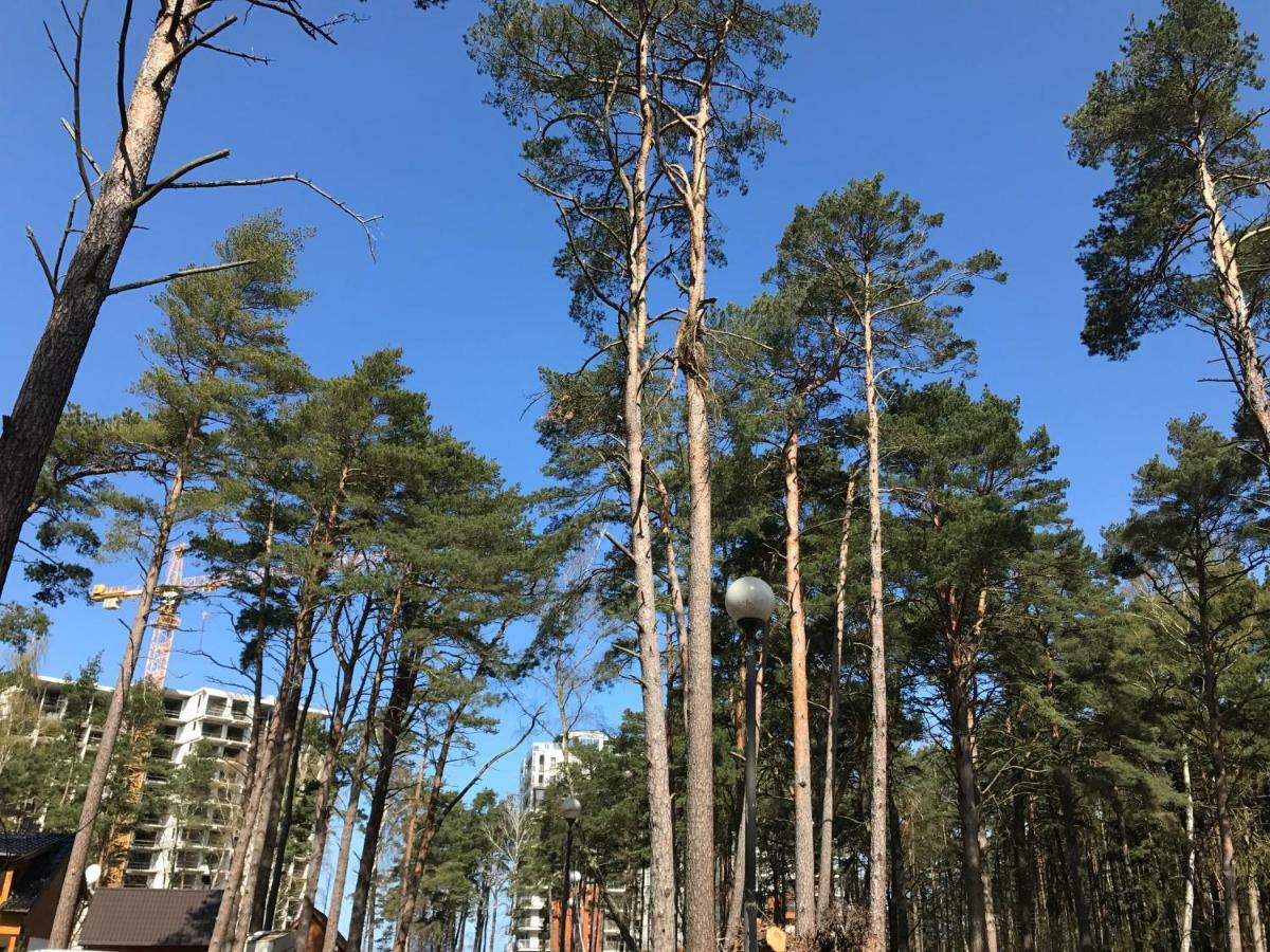 Blue Porta Mare Apartman Dziwnówek Kültér fotó